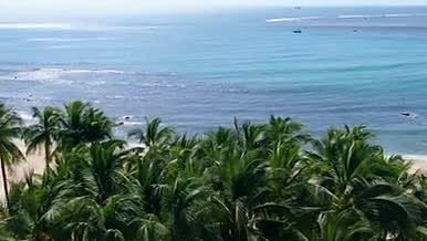 海南三亚大海边沙滩椰林视频的预览图